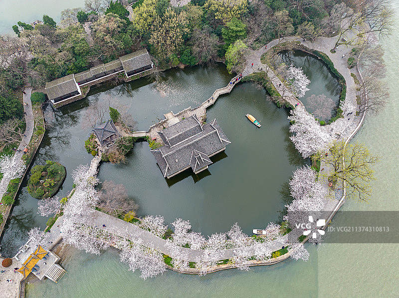 江南园林无锡市太湖鼋头渚风景区春天长春桥樱花风光图片素材