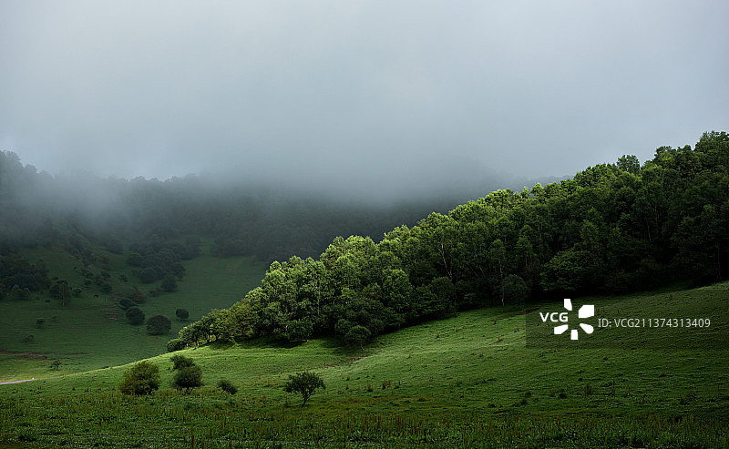 关山草原图片素材