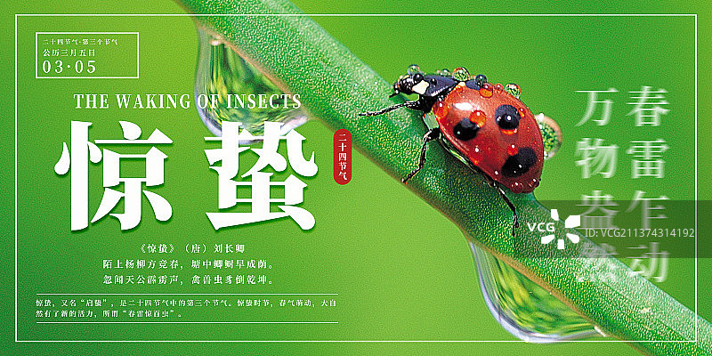 横版24节气海报之惊蛰图片素材