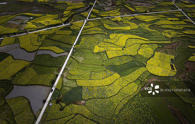 贵阳开阳县禾丰乡十里画廊油菜花图片素材
