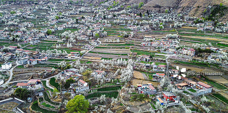 航拍金川梨花图片素材
