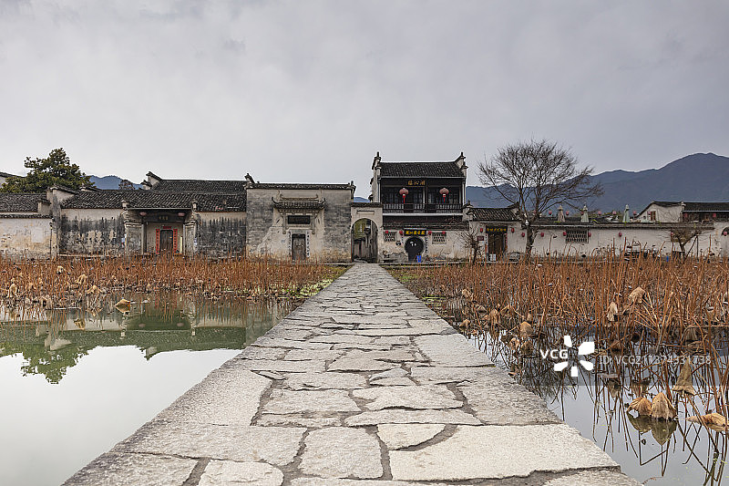 安徽宏村南湖石道石桥枯荷倒影图片素材