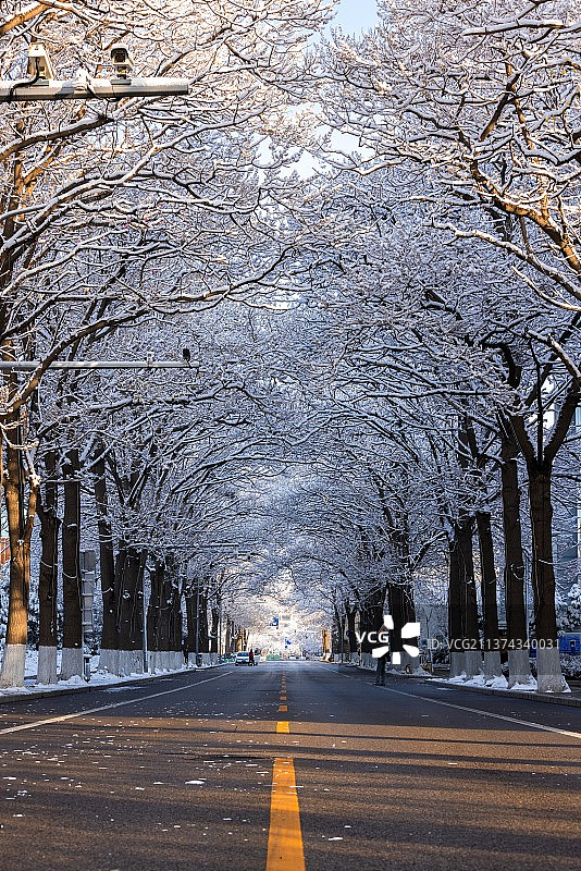 清晨的北京雪后街道图片素材