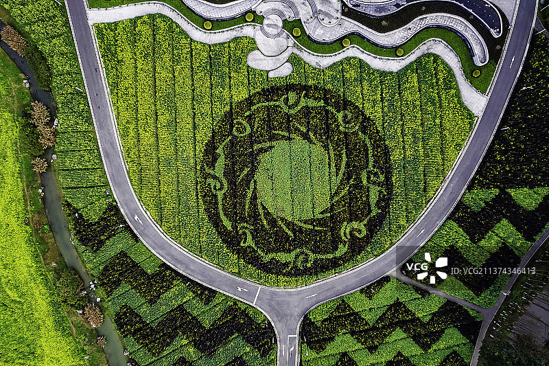 川西林盘图片素材