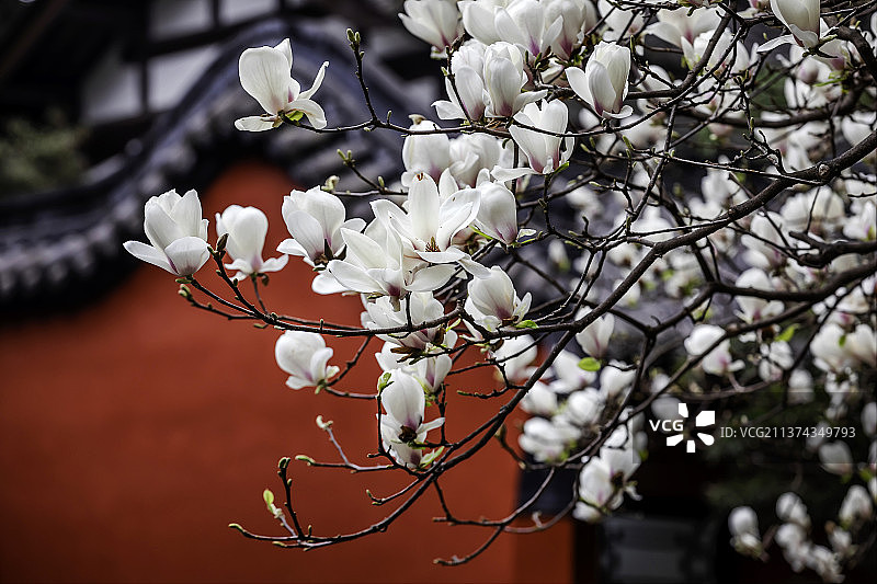成都武侯祠图片素材