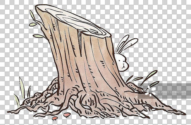 野外的树墩与兔子图片素材