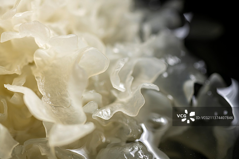 水泡银耳与干银耳摆放在桌面上特写图片素材