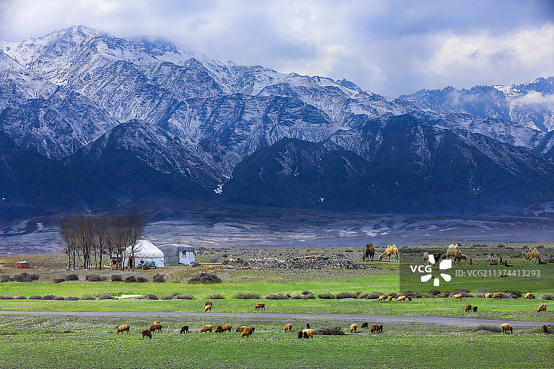 冬季新疆旅游雪景牧场图片素材