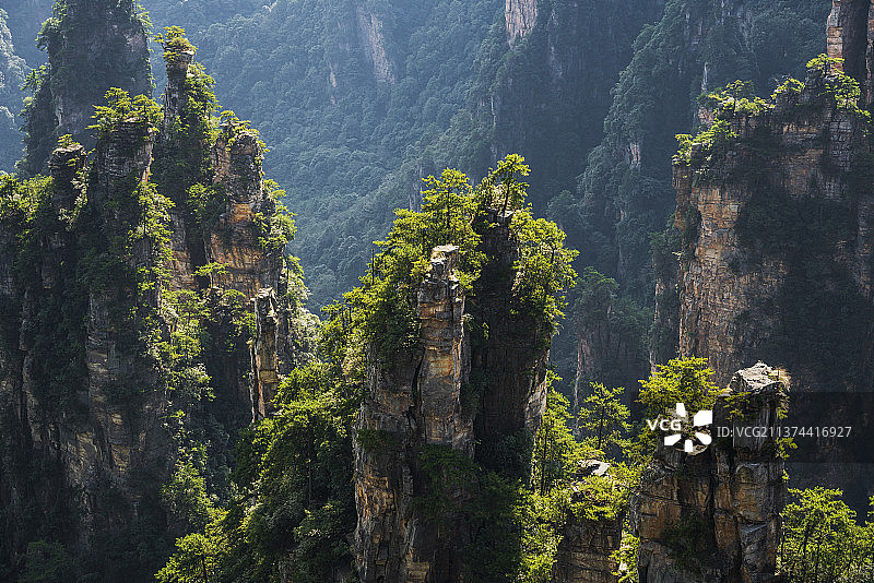湖南 张家界市 国家首批5A级景区 张家界国家森林公园风光图片素材