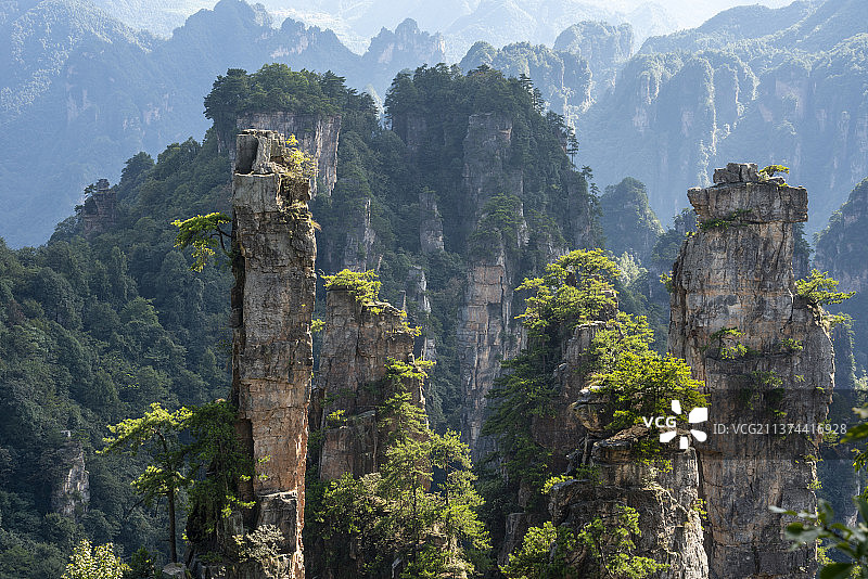 湖南 张家界市 国家首批5A级景区 张家界国家森林公园风光图片素材