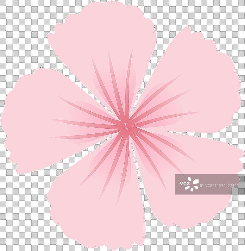 石竹花插画元素，儿童节花卉背景元素图片素材