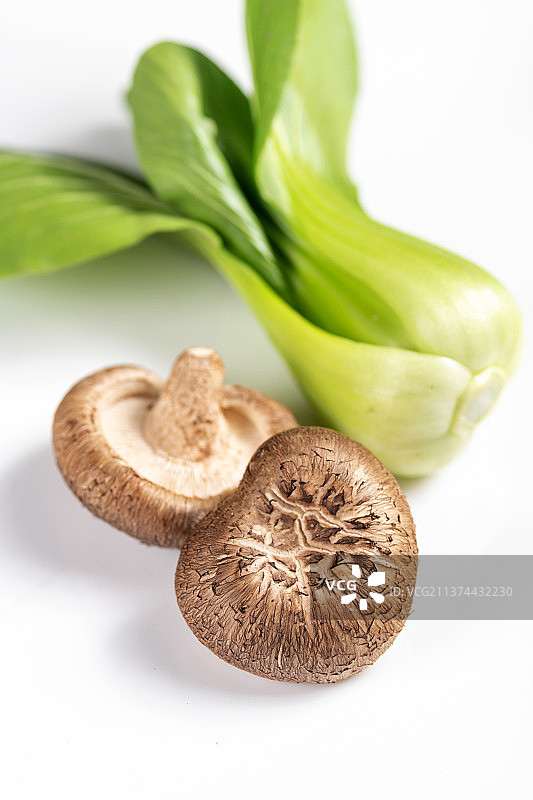 保健蔬菜一簸箕鲜香菇特写图片素材