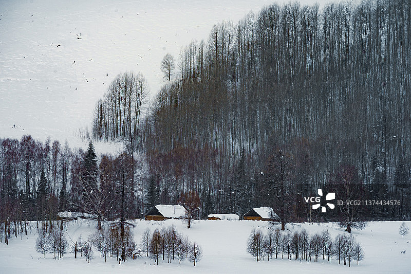 冬季新疆冰雪冬天白色震撼少见封面壁纸广告雾凇冷零下阿勒泰喀纳斯禾木图片素材