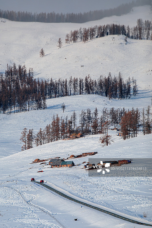 冬季新疆冰雪冬天白色震撼少见封面壁纸广告雾凇冷零下阿勒泰喀纳斯禾木图片素材
