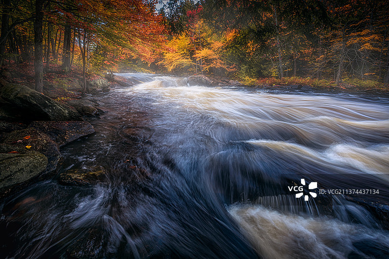 秋林激流图片素材