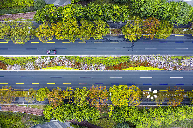 苏州园区现代大道的春天图片素材