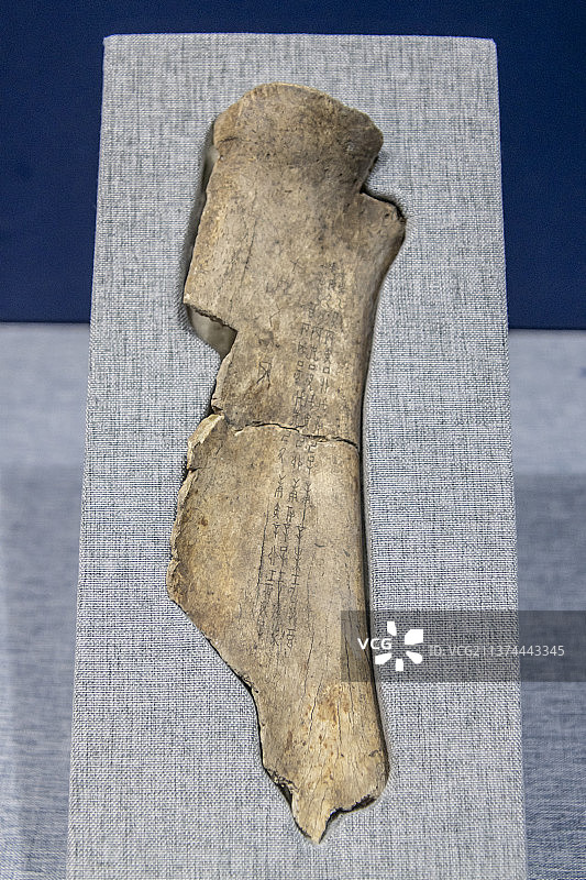 刻干支表牛骨（商，中国国家博物馆藏）图片素材