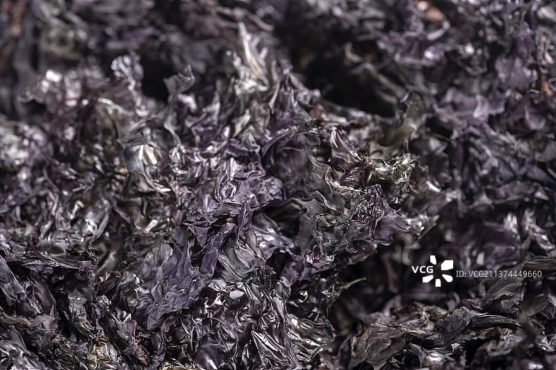 一盘紫菜特写白色背景图片素材