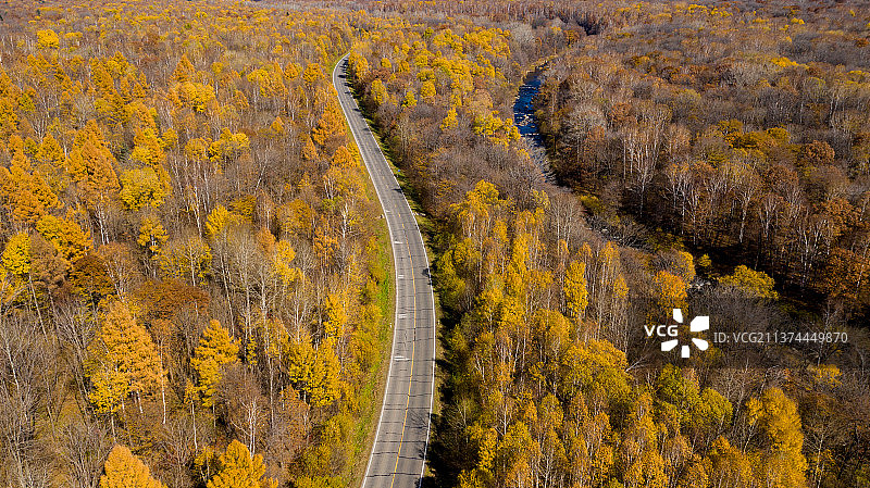 原始丛林落叶松森林交通公路航拍图片素材