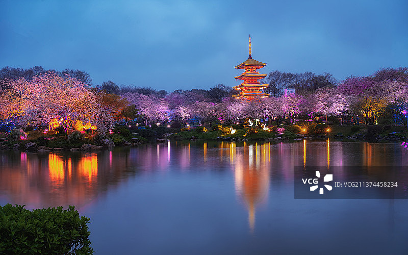 雨夜的樱园图片素材