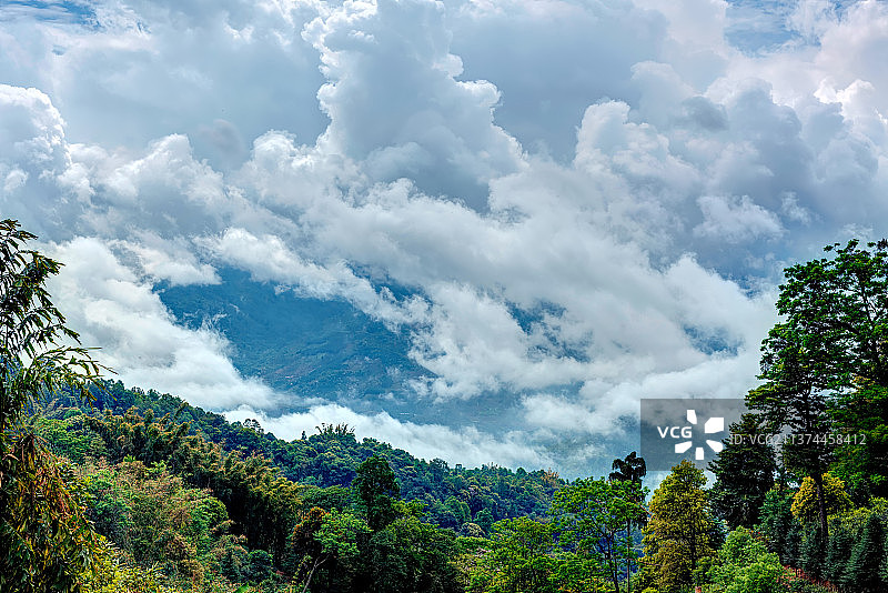 云南西双版纳茶园南糯山风景图片素材