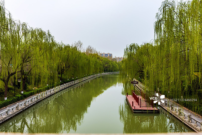 绿丝带-运河春色-2022.3-4177图片素材