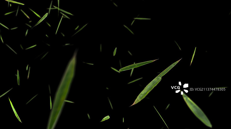 随风飘落的竹叶图片素材
