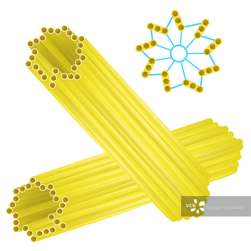 中心粒图片素材