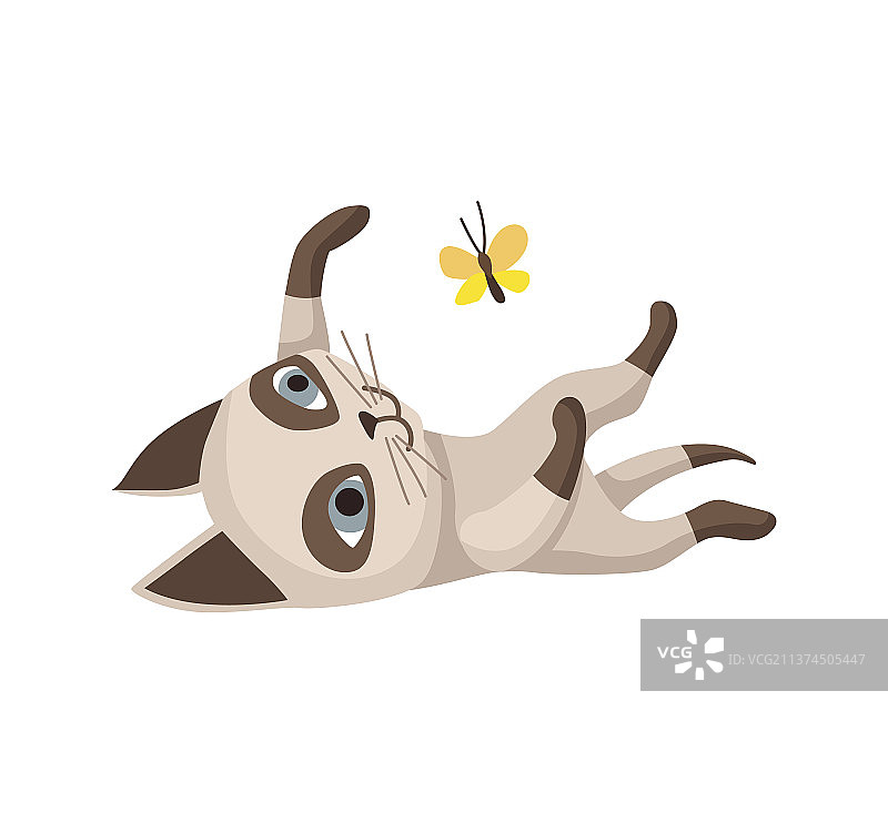 卡通猫咪角色暹罗色点宠物图片素材