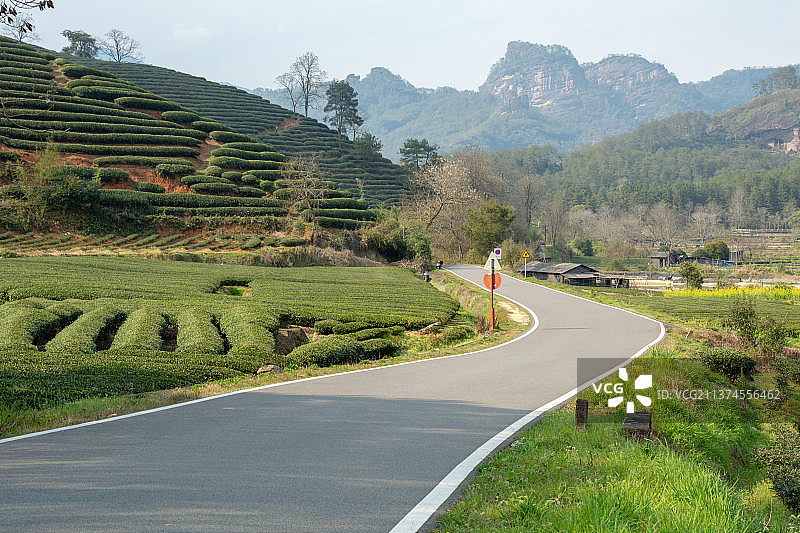 福建省南平市武夷山景区道路 武夷山国家公园 武夷山风光 景区公路 景区道路 弯道 公路 春天 清明节图片素材