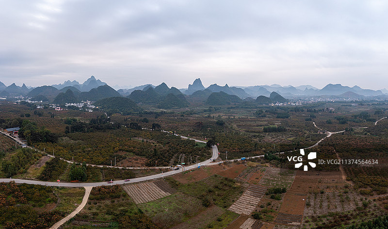 广西桂林恭城县红岩村万亩月杮生产基地图片素材