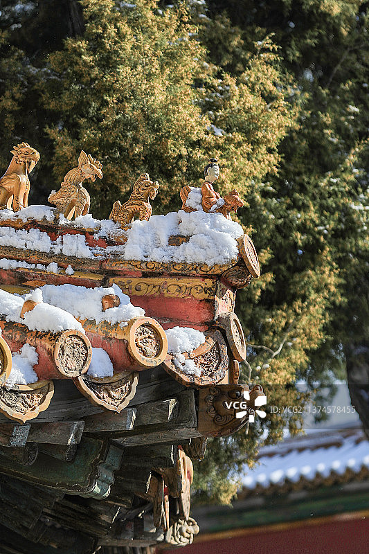 故宫迎来春雪 雪后紫禁城美如画图片素材