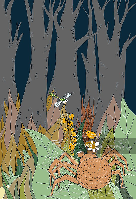 插画：森林里的蜻蜓和蜘蛛图片素材