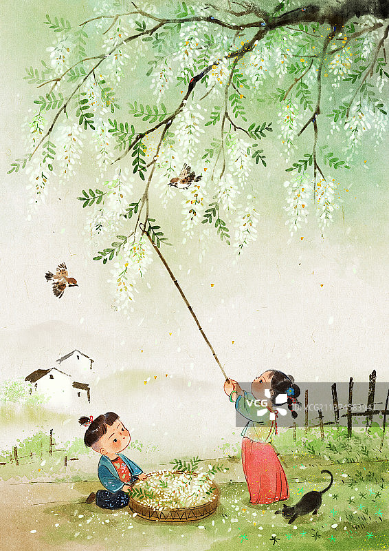 儿童摘槐花插画图片素材