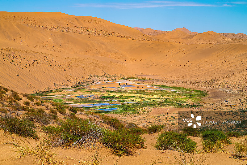 巴丹吉林沙漠植物与绿洲图片素材