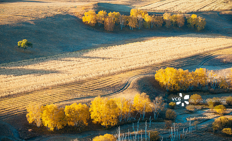 坝上秋色图片素材