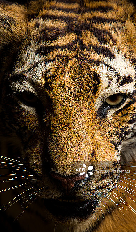 明和暗图片素材