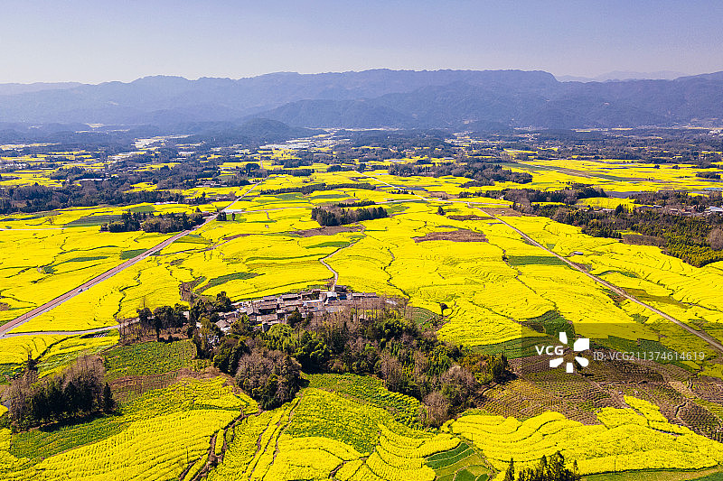 乡间花田图片素材