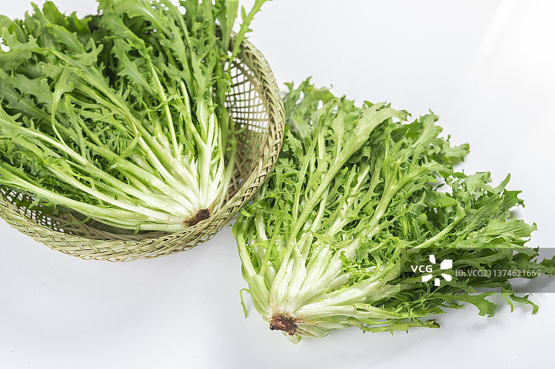 新鲜蔬菜苦菊特写图片素材