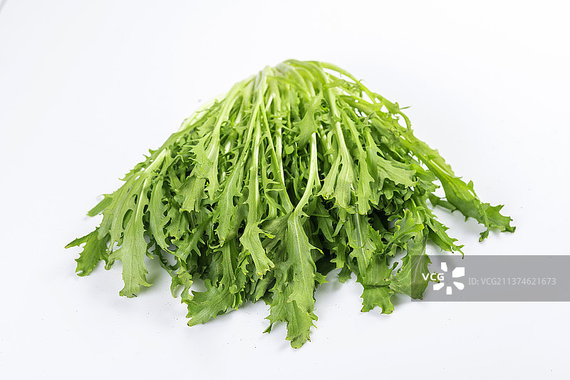 新鲜蔬菜苦菊特写图片素材
