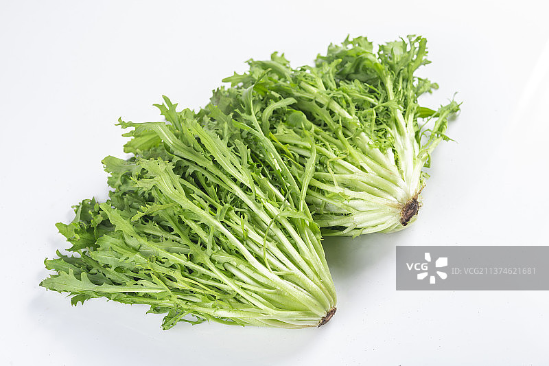 新鲜蔬菜苦菊特写图片素材