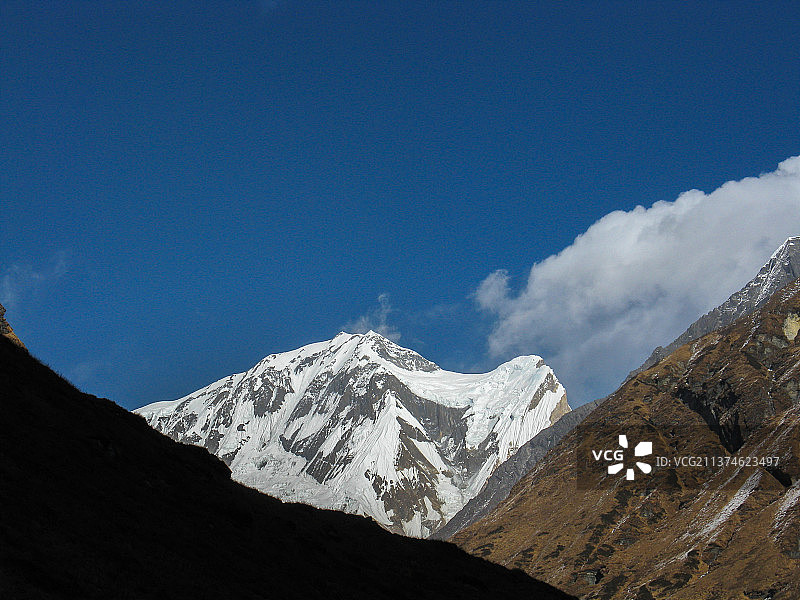 国外徒步旅游：安纳普尔纳大本营小环线（ABC），MBC营地遥望gangapurna与三号峰图片素材