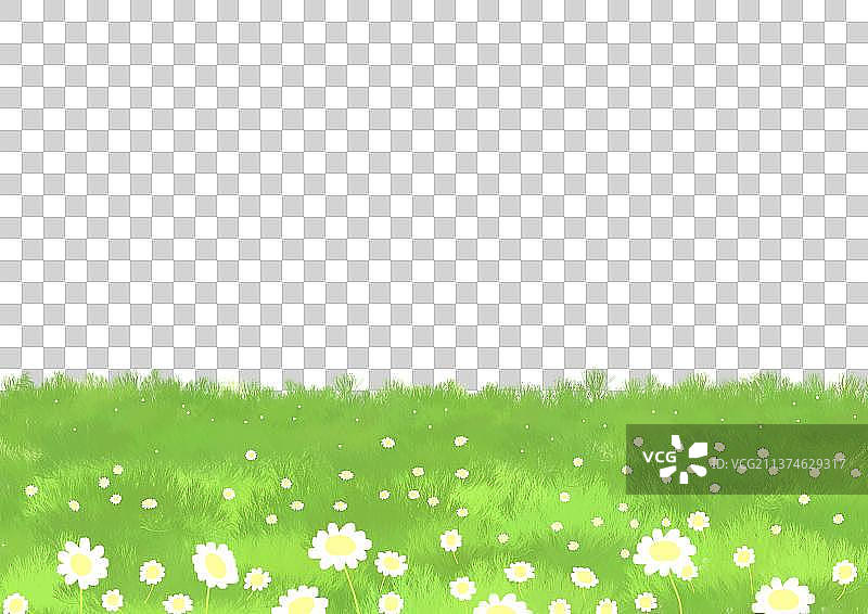 草坪上的小雏菊图片素材