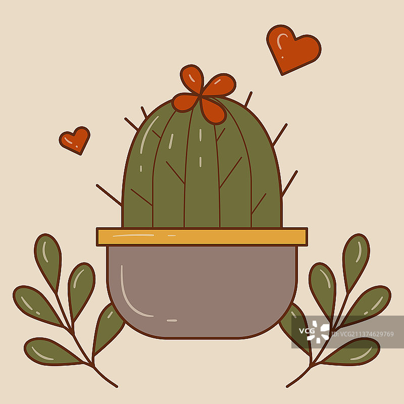 仙人球图片素材