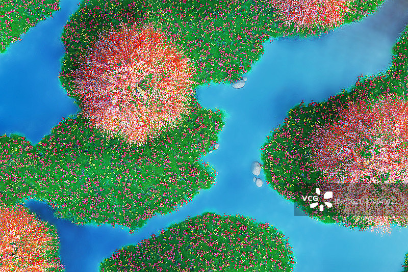 美丽的湖中景色，C4D制作图片素材