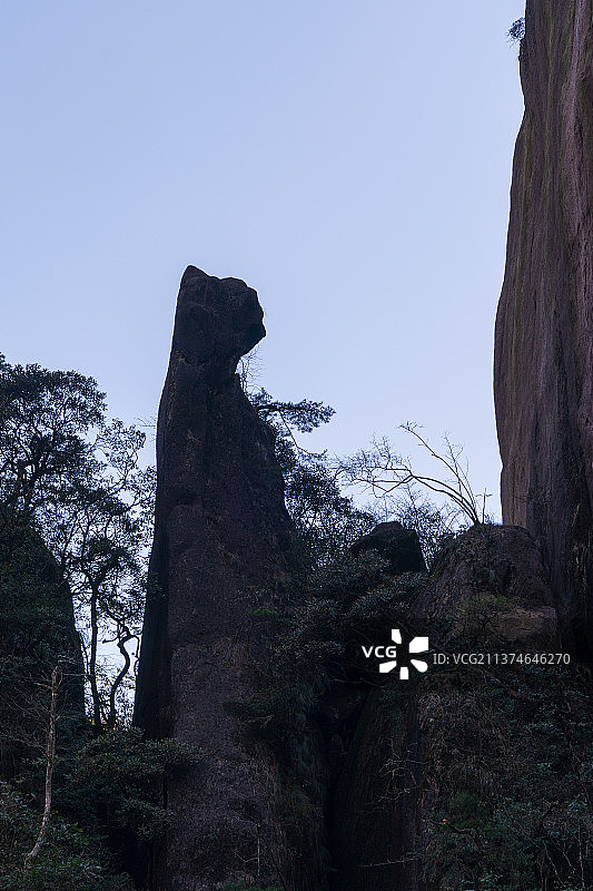 江西上饶三清山南清园景区风光之狸猫归真图片素材