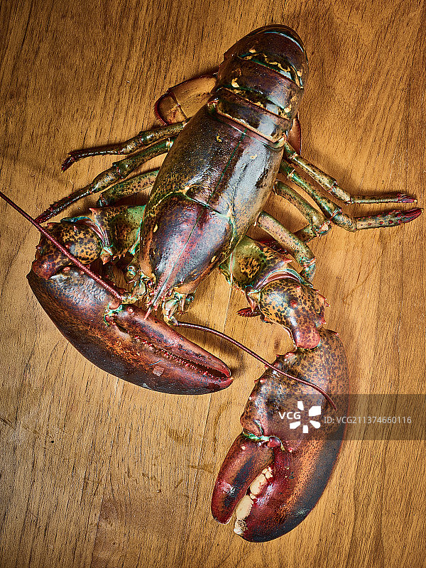 波士顿龙虾图片素材