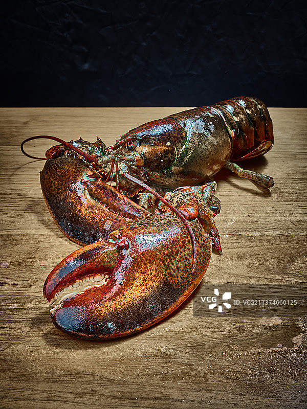 波士顿龙虾图片素材