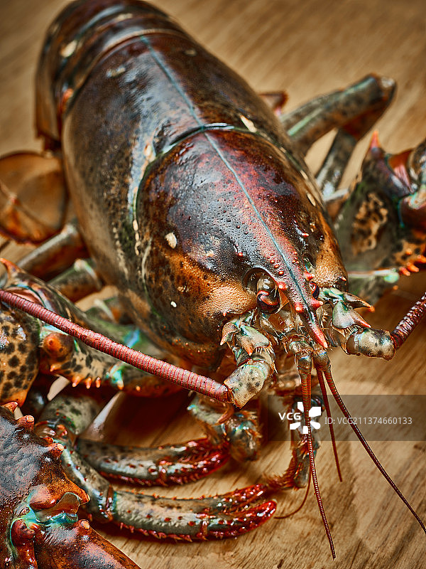 波士顿龙虾图片素材