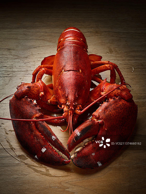 波士顿龙虾图片素材